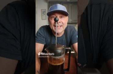 Barrie House Coffee x @CookitwithTim: Best French Press Coffee Tips