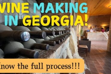 Wine making | How to make wine | Wine making process | Wine tasting in Georgia