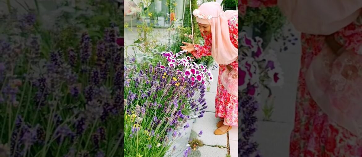 Discover the MAGIC of Desert Wonders #hijabi #flowers #garden