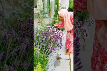 Discover the MAGIC of Desert Wonders #hijabi #flowers #garden