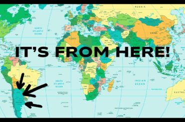 Where In The WORLD Are These WINES From?!