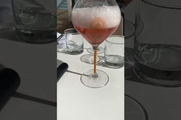 Tasting the BEST Champagne in France