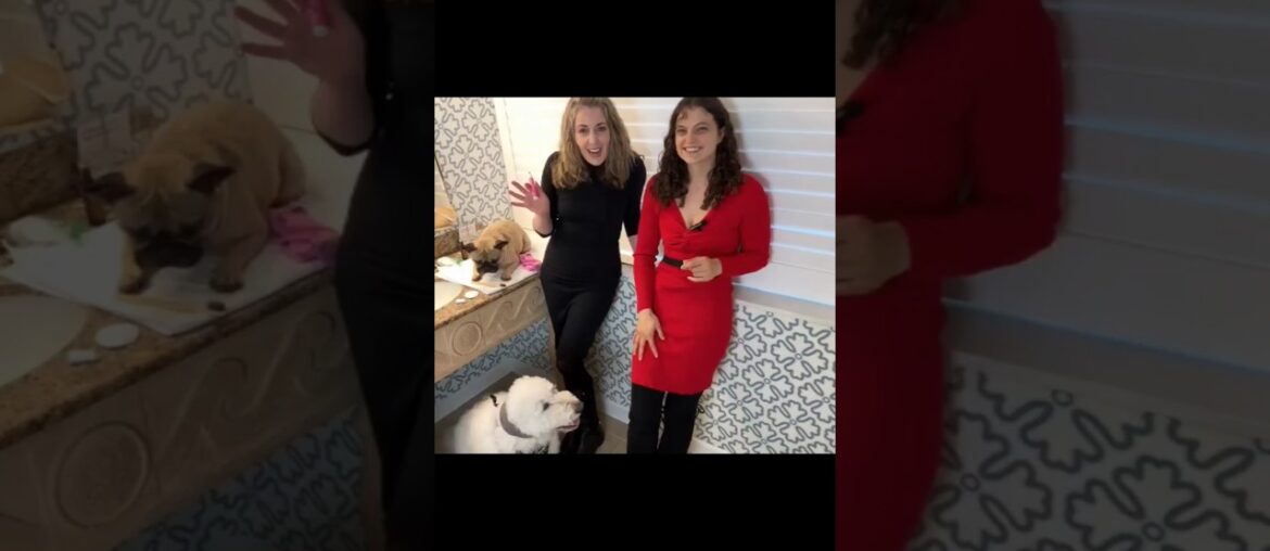 Dog-Friendly Dining: Training & Grooming Tips