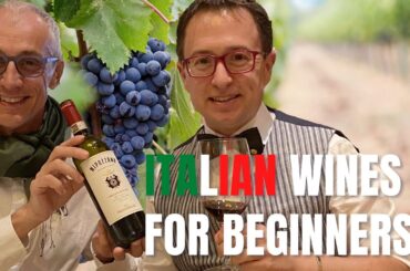 Italian wines for beginners -  A beginner guide to Italian wines
