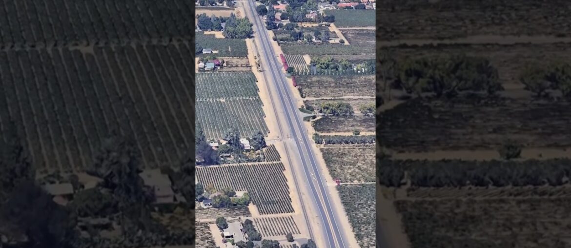 The flavor of the wines produced here beat the best wines from France