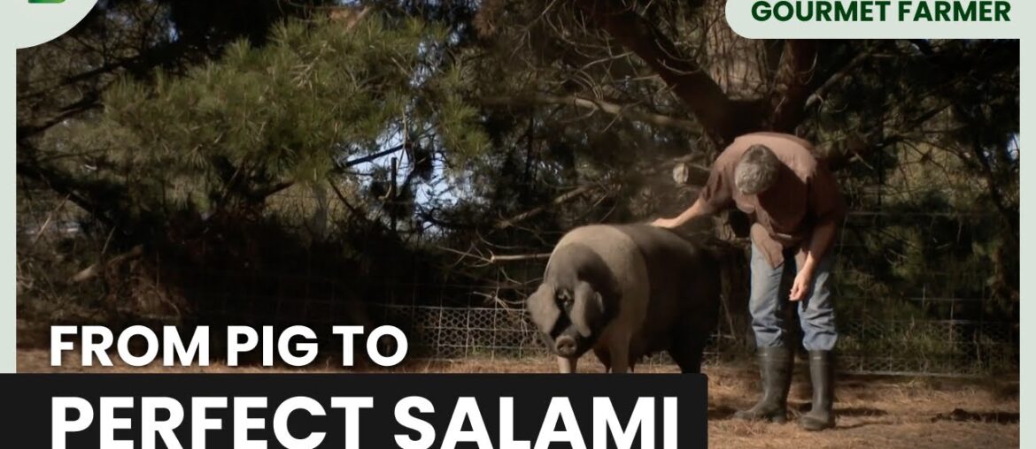 The Passion Behind Italian Pig Farms – Gourmet Farmer – Documentary The Passion Behind Italian Pig Farms - Gourmet Farmer - Documentary