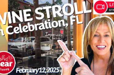 Celebration FL Wine Stroll 2024: Luxury Home Tour & Wine Tasting Event for Charity | Feb 12th