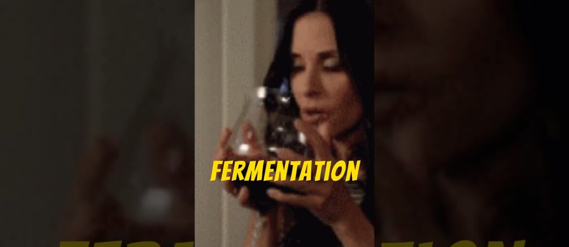 3 fascinating FranksFacts about wine #facts #wine #italy #redwine #history