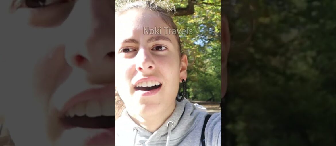 A hike on a famous wine-tasting trail in France! #alsace #france #europe #strasbourg #routedesvins A hike on a famous wine-tasting trail in France! #alsace #france #europe #strasbourg #routedesvins