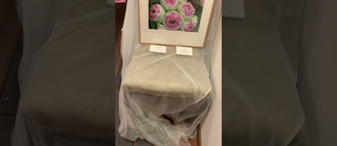 Vietnamese-French Fusion in KYOTO!? - Xuan  #japan #food #gourmet #vietnam #france #trend #trending