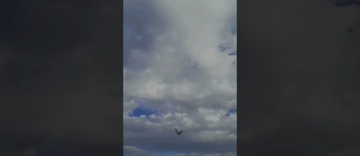 timelapse #ig #drone #timelapsedrawing #photographey #timelapse #timelapseclouds timelapse #ig #drone #timelapsedrawing #photographey #timelapse #timelapseclouds