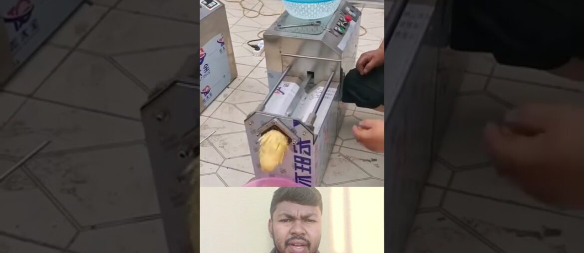 French fries easya podalam