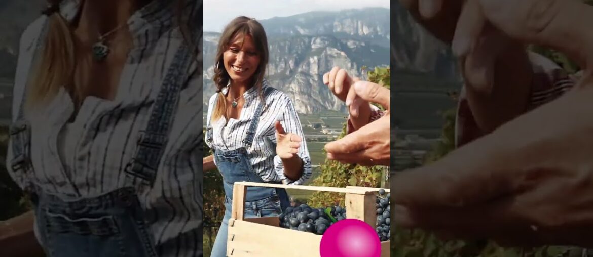 Women in wine #wine #shorts