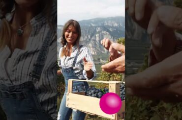 Women in wine #wine #shorts