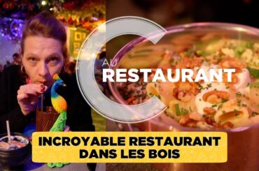 Incroyable restaurant dans les bois