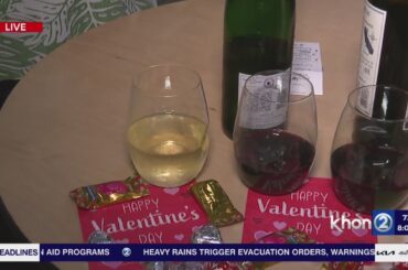 Check out wine tastine, food and more at the Great Aloha Run expo