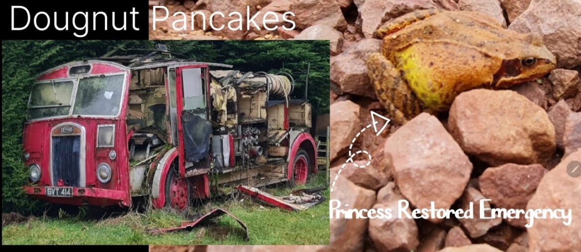 Beignet; little known French patisserie, Sourdough Rye, bread,pancake,doughnut,crispbread, recipe