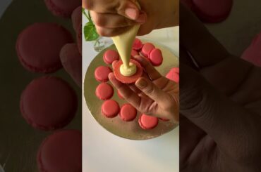 French macaroons follow for more on Instagram @chocofiz_official