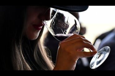 ‘Quoi, just two glasses?’ French urged to cut down on their drinking