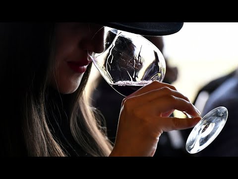‘Quoi, just two glasses?’ French urged to cut down on their drinking ‘Quoi, just two glasses?’ French urged to cut down on their drinking