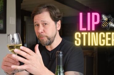 A wine so tart that it stings your lips! France's Picpoul de Pinet