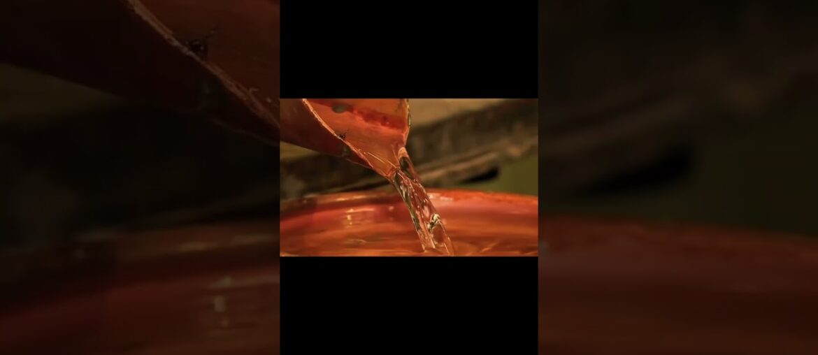 Production of France’s Oldest Spirit #teaser #armagnac #alcohol Production of France's Oldest Spirit #teaser #armagnac #alcohol