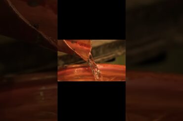 Production of France's Oldest Spirit #teaser #armagnac #alcohol