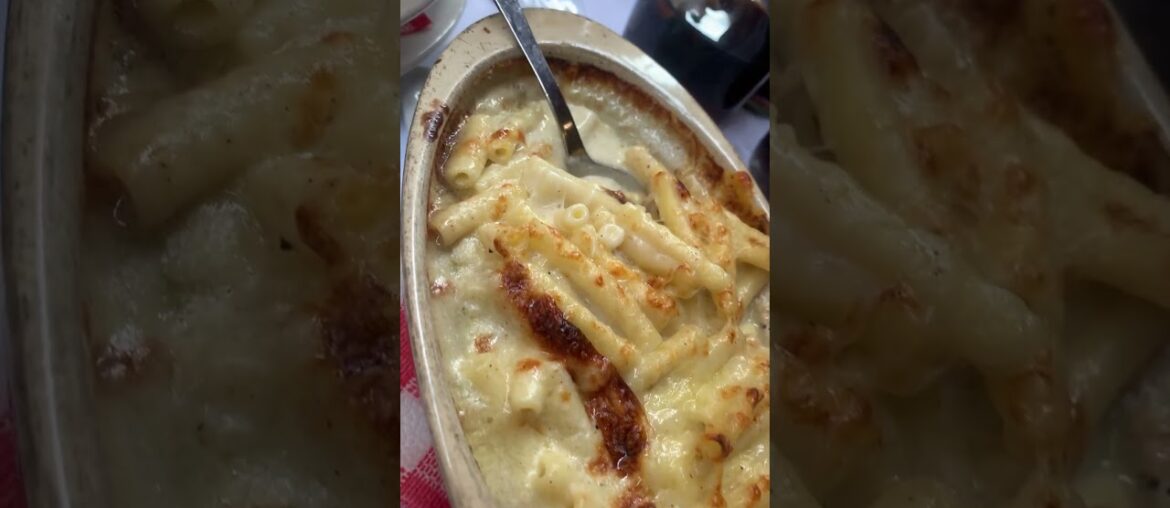 In lion/ France yayayyayaya #lyrics #song #music #ajr #worldssmallestviolin