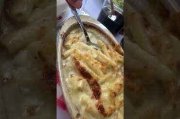 In lion/ France yayayyayaya #lyrics #song #music #ajr #worldssmallestviolin