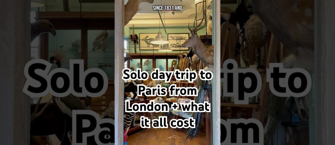 taxidermy, catacombs and oysters - one day in Paris! #solodate #paris #London #solotrip