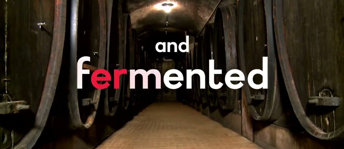 Taste France – Les French wine days – Biodynamic Taste France - Les French wine days - Biodynamic