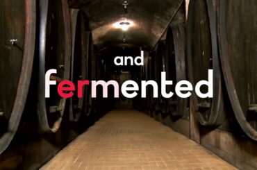 Taste France - Les French wine days - Biodynamic