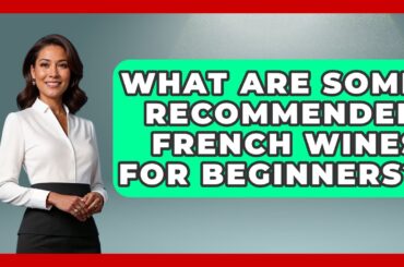 What Are Some Recommended French Wines for Beginners? - France Fact File