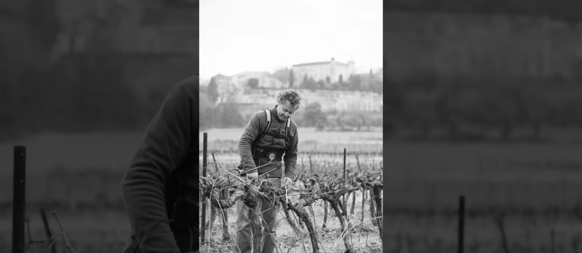French Wine Tour in Winter
