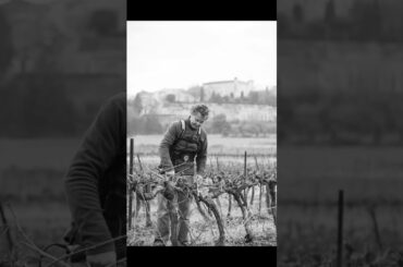 French Wine Tour in Winter