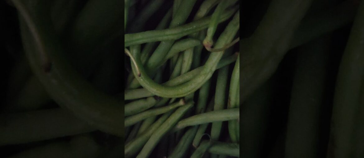 French Beans -  potato recipe !! aloo beans ki sabji kaise banate hain  #Food#youtubeshorts#shorts#