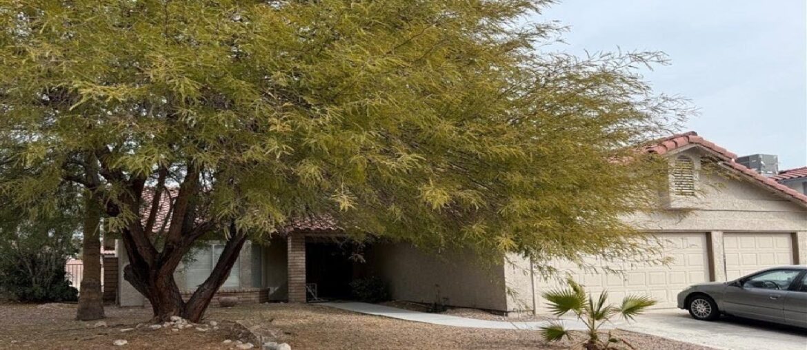 8912 Dio Guardi Drive, Las Vegas, NV Presented by Danielle Hess.