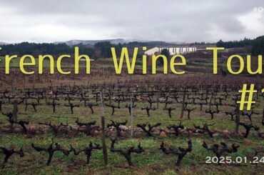 Tour of French Wine Producers Jura - Montpellier#01