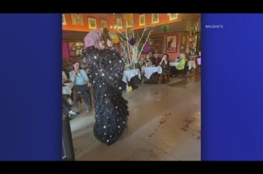 'We are Eagle': French fine dining restaurant, Bacquet's, hosts drag brunch