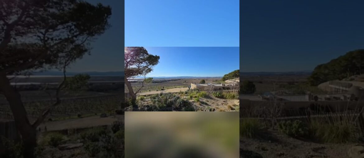 Discover Stunning Chateau Capitoul South France #frenchproperty #realestate #frenchpropertyforsale