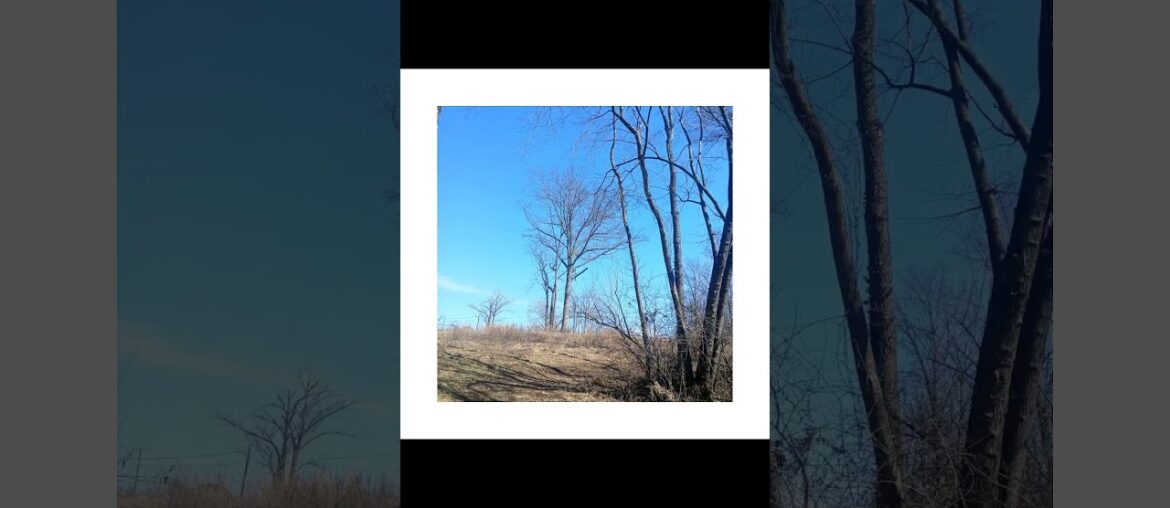Easy day, spillway,  murky water with fabulous tree roots and a beautiful sky