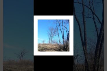 Easy day, spillway,  murky water with fabulous tree roots and a beautiful sky