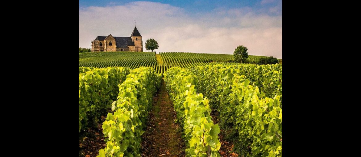 Wine And Sightseeing At Special Vineyards In France, Italy And Spain Wine And Sightseeing At Special Vineyards In France, Italy And Spain