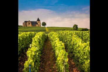 Wine And Sightseeing At Special Vineyards In France, Italy And Spain