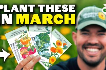 14 Crops You'd be Foolish Not to Plant in March!