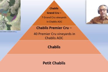 French Wine Regions   Chablis Part 2