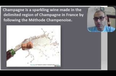 French Wine Regions   Champagne 480 p