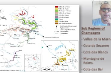 French Wine Regions   Champagne Part 2