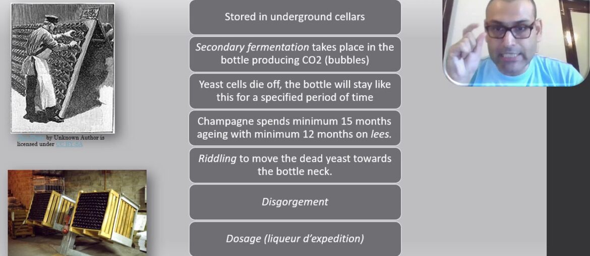 French Wine Regions   Champagne Part 3
