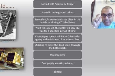 French Wine Regions   Champagne Part 3